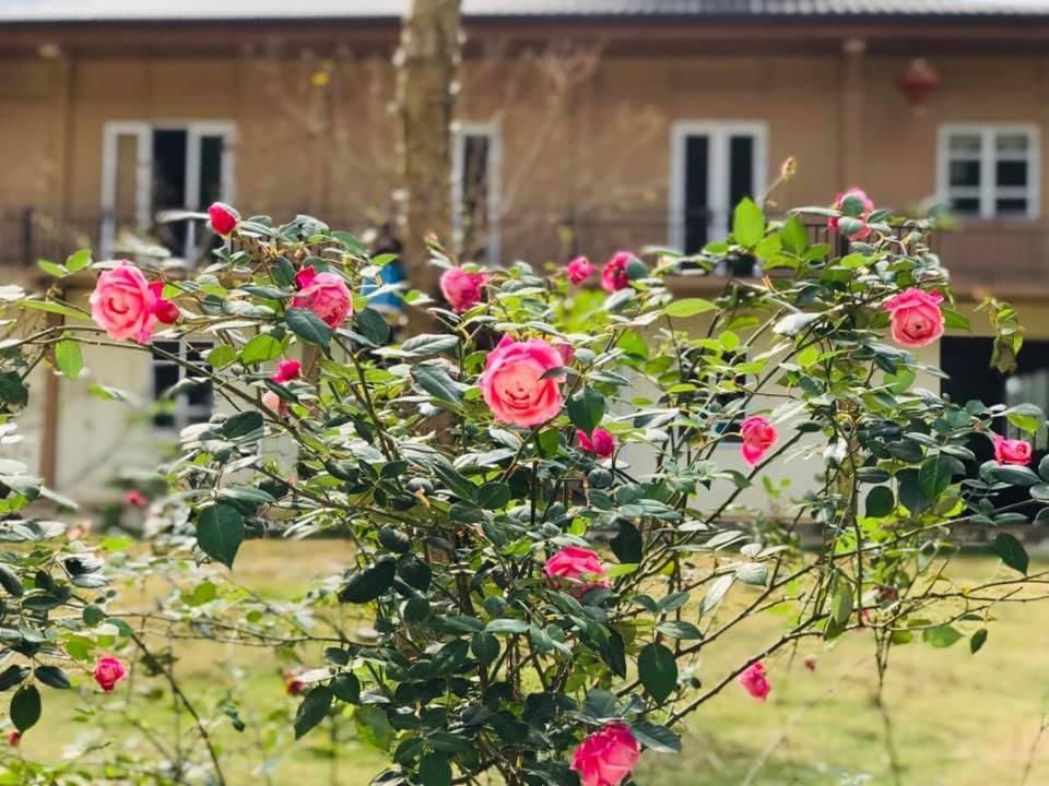 Điểm dừng chân Cán Tỷ Ha Giang Exterior foto