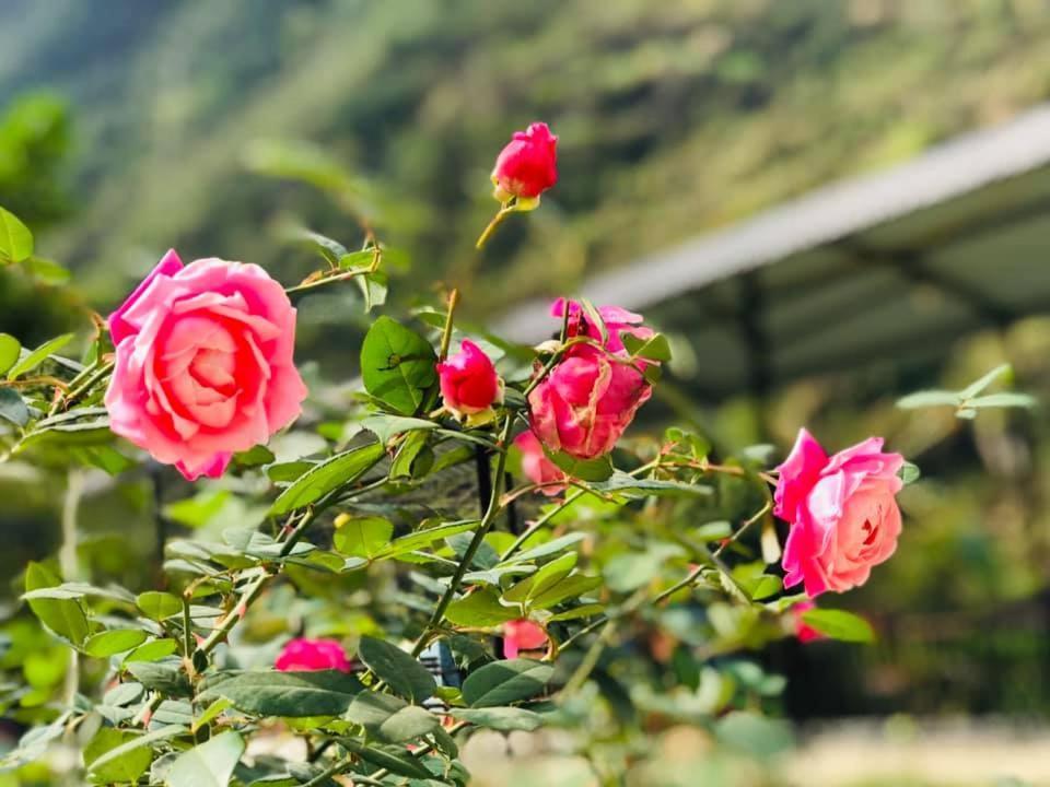 Điểm dừng chân Cán Tỷ Ha Giang Exterior foto