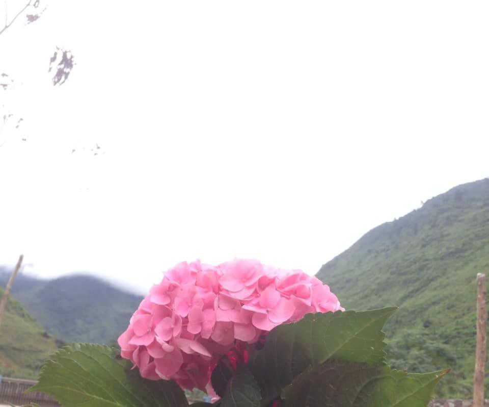Điểm dừng chân Cán Tỷ Ha Giang Exterior foto
